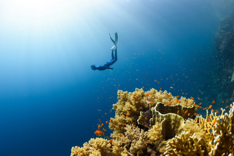 Extraordinary Experiences
